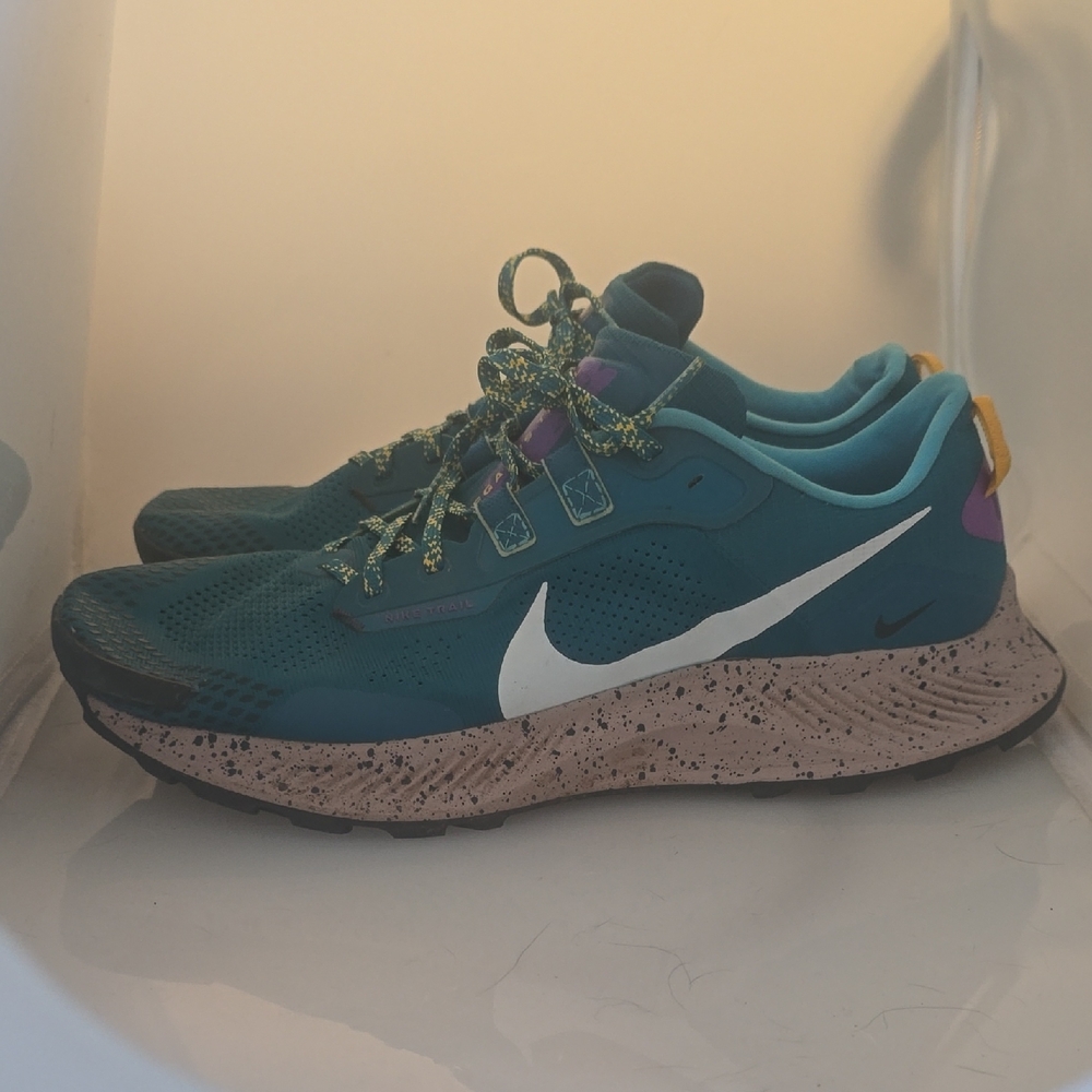 Nike Teal and Purple Running Shoes